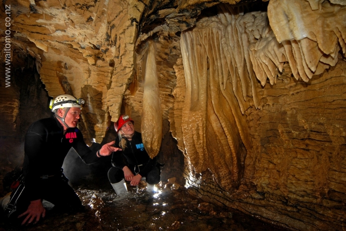 Waitomo Grotten Waitomo | Alles wat je wilt weten over de wereldberoemde Waitomo grotten