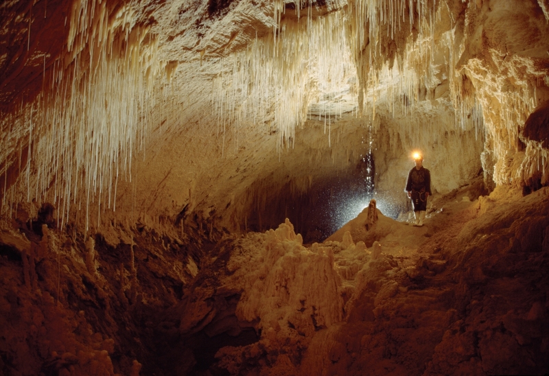 Waitomo Grotten Waitomo | Alles wat je wilt weten over de wereldberoemde Waitomo grotten